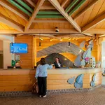 Hotel Les Vallees Labellemontagne 4* La Bresse