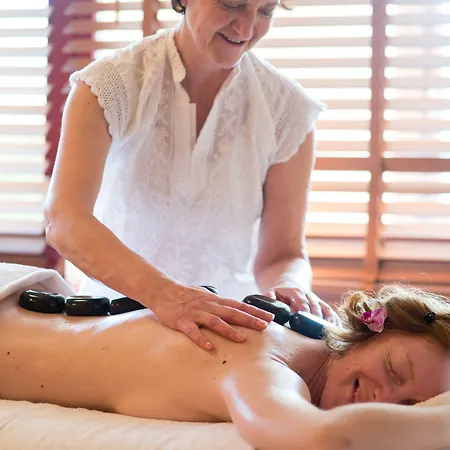 Hotel Les Vallees Labellemontagne 4* Ла-Бресс