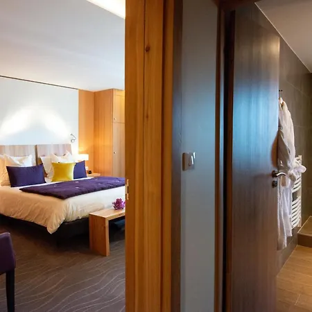 Hotel Les Vallees Labellemontagne La Bresse