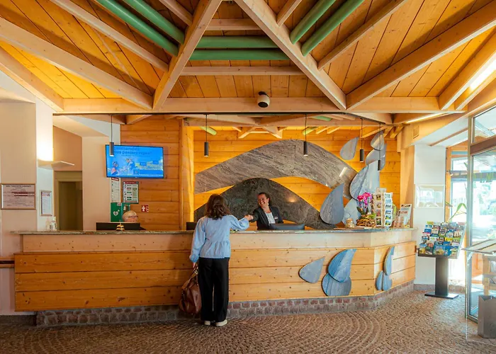 Hotel Les Vallees Labellemontagne 4* Ла-Бресс