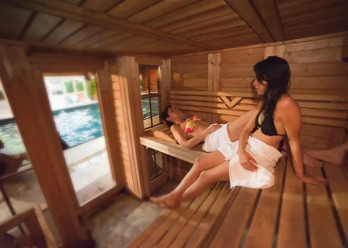 Hotel Les Vallees Labellemontagne 4* Ла-Бресс