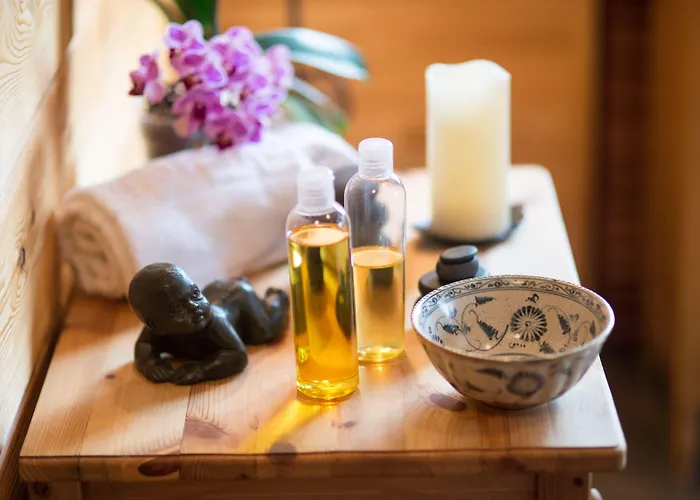 Апарт-отель Hotel Les Vallees Labellemontagne 4*