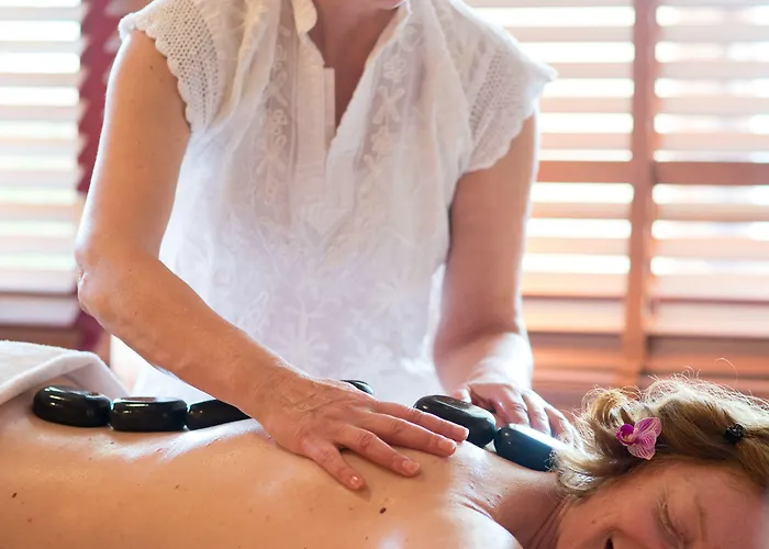 Les Vallees Labellemontagne 4* La Bresse