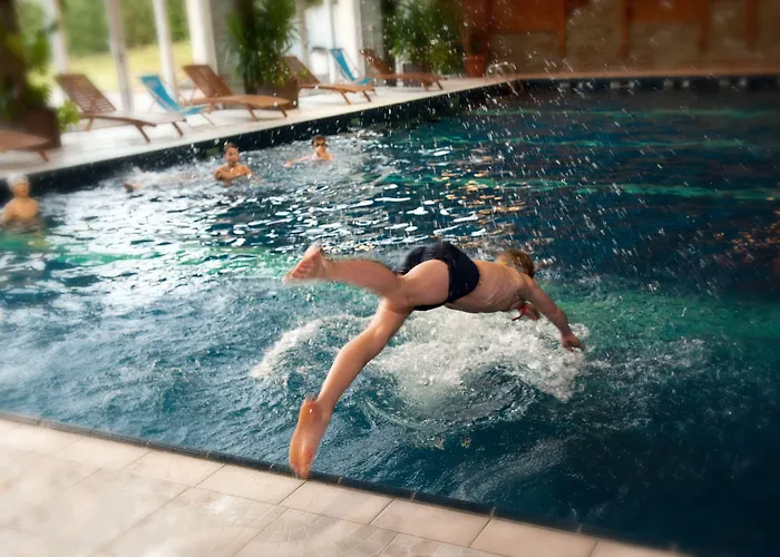 Hotel Les Vallees Labellemontagne 4* Ла-Бресс